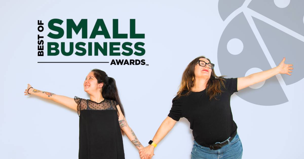 Ladybugz Named Best Small Business Website Design Company.