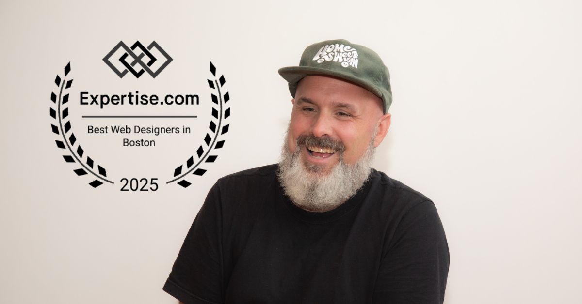 Ladybugz named in 2025 List of Best Web Designers in Boston MA.