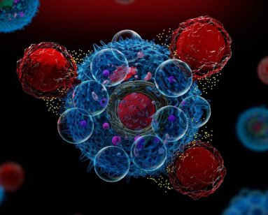 Cell Image on Website of Nanotein Technologies in Berkeley MA