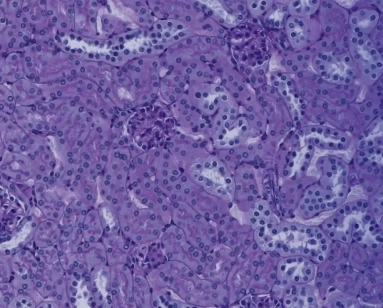 Modern Biotech Website Background Image